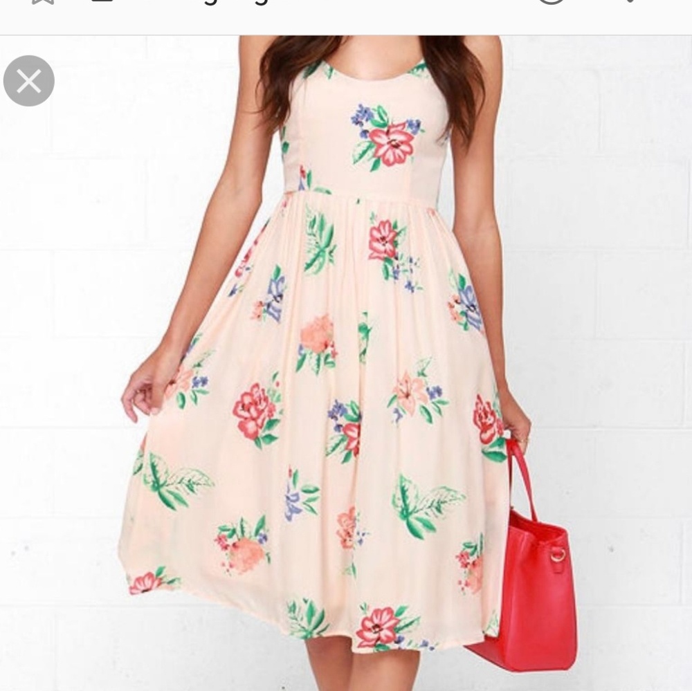 BB Dakota dress